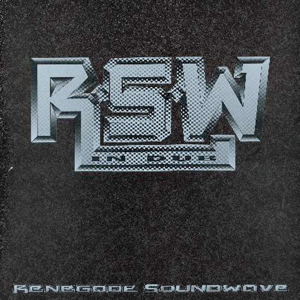 Renegade Soundwave - In Dub. Bleep.