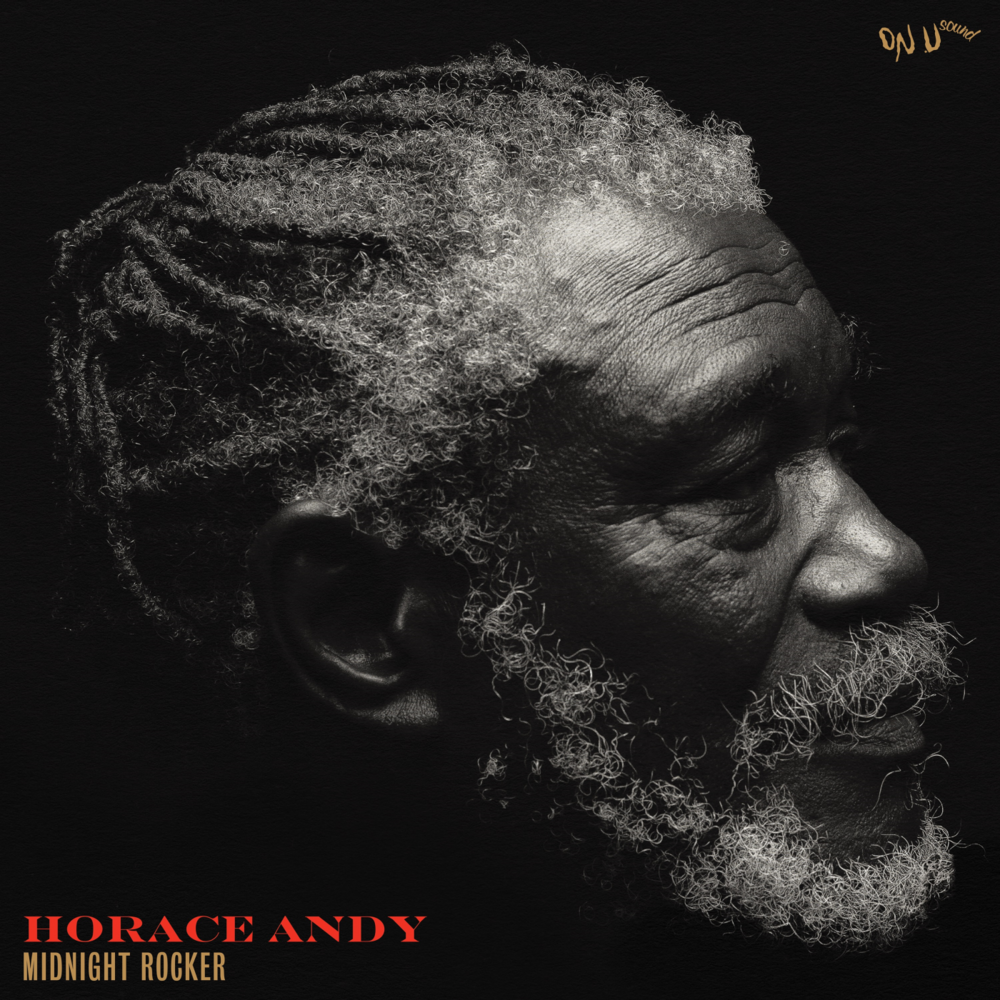 洋楽 KINGSTON ROCK Horace Andy UK ORIGINAL LP Horace Andy - Midnight Rocker. Bleep.