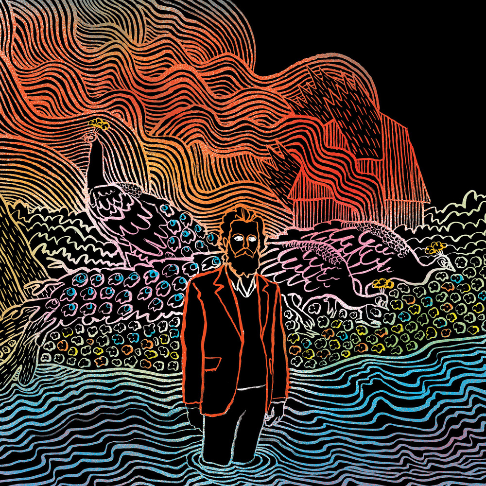 Iron and Wine - Kiss Each Other Clean. Vinyl, 1×LP - Black Vinyl. 4AD.