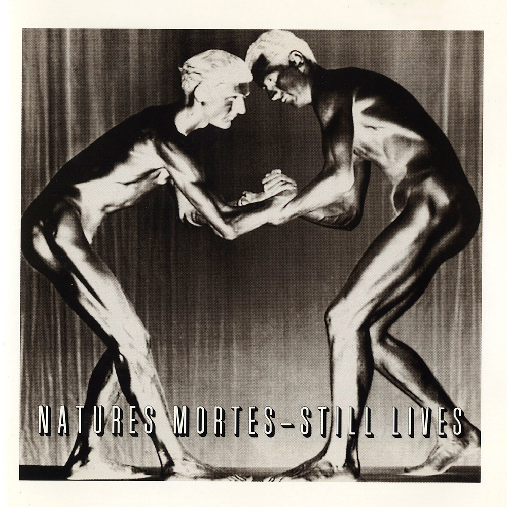 Various Artists - Natures Mortes - Still Lives. 4AD.