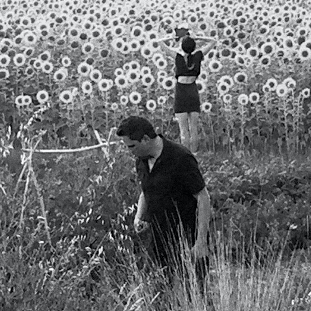 Jesu/Sun Kil Moon - Jesu/Sun Kil Moon. Rough Trade.