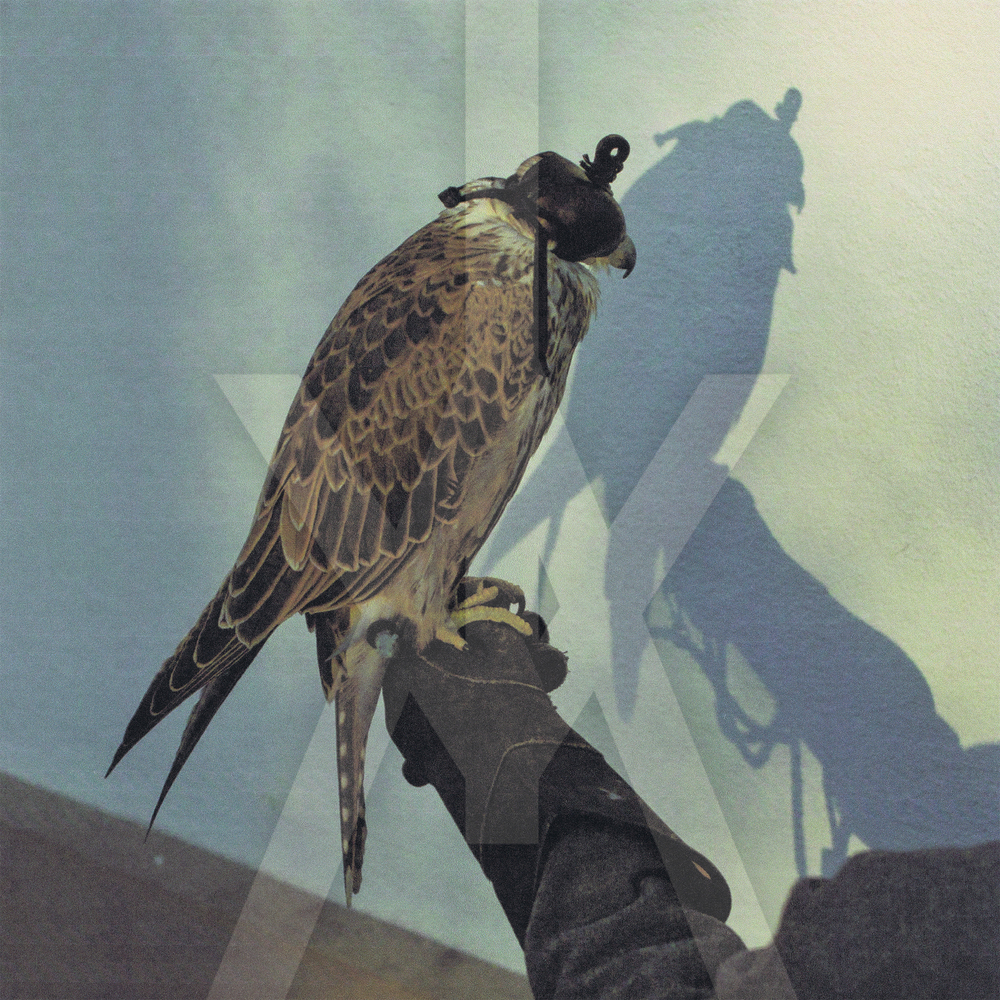 米LP Iceage Youre Nothing OLE10091 Matador /00260 Iceage - You're Nothing (+ 2). Matador.