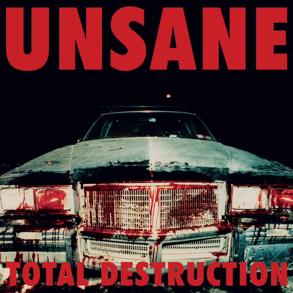 希少 UNSANE TOTAL DESTRUCTION アナログレコード Unsane - Total Destruction. Matador.