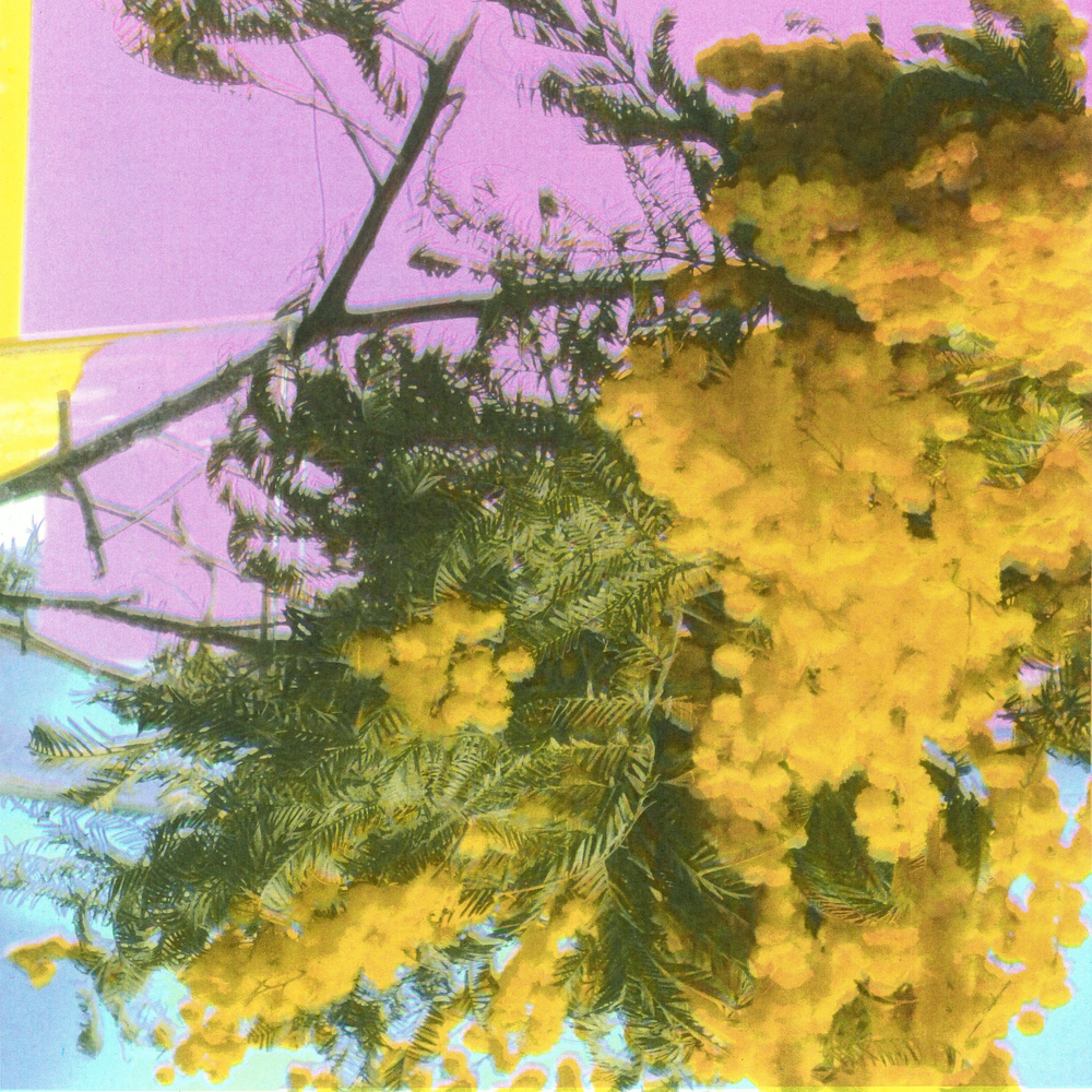 Releases - XL Recordings