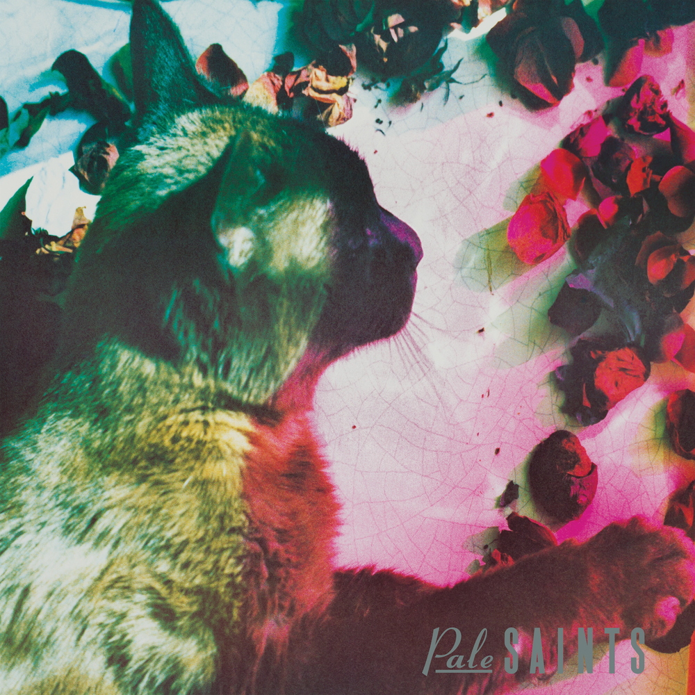 洋楽 Pale Saints / The Comfort Of Madness 2LP Pale Saints - The Comforts of Madness (30th Anniversary Reissue). 4AD.