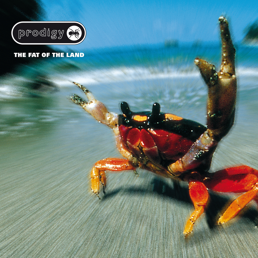 【希少】Tbe Prodigy/The Fat of the Land レコード The Prodigy - The Fat of the Land. Bleep.