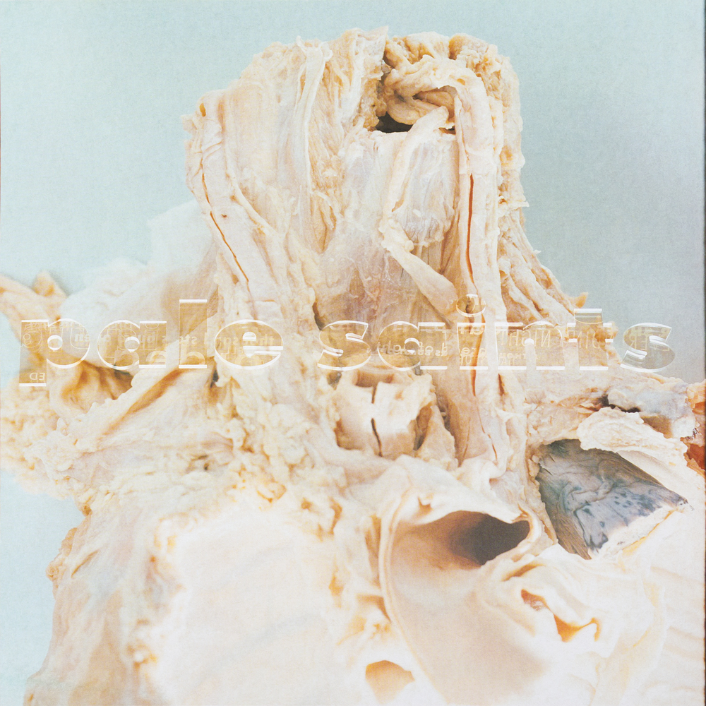 pale saints made in England オリジナル Pale Saints - Kinky Love (Demo). Bleep.