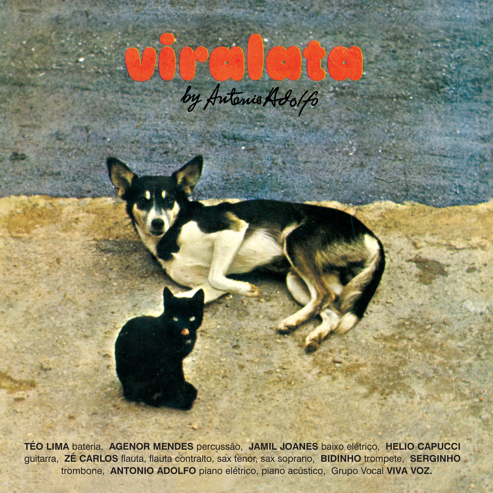 VIRALATAアントニオ・アドルフォANTONIO ADOLFO LPレコード Antonio Adolfo - Viralata. Far Out Recordings.