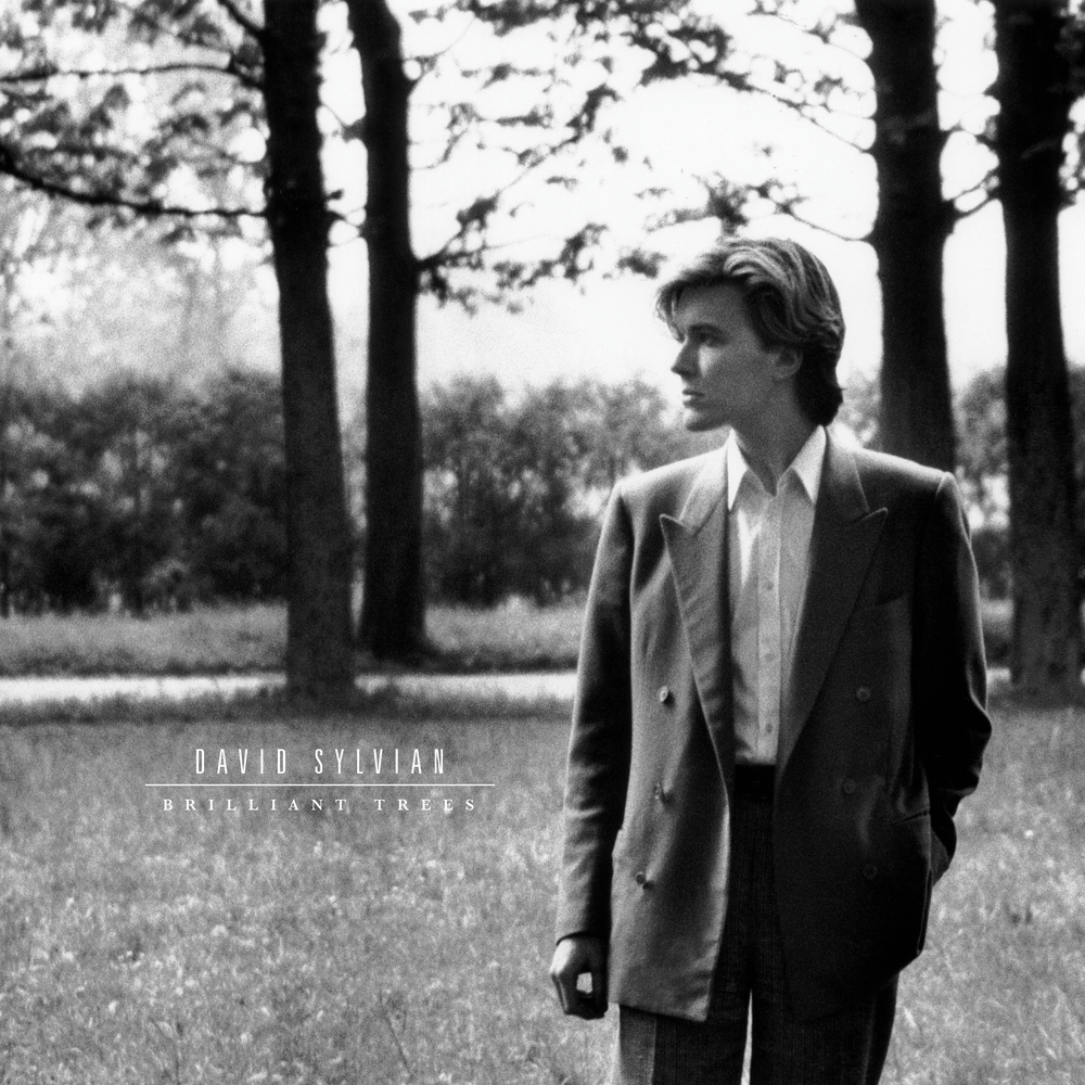 David Sylvian Brilliant trees 見本盤 David Sylvian - Brilliant Trees. The [PIAS] Store.