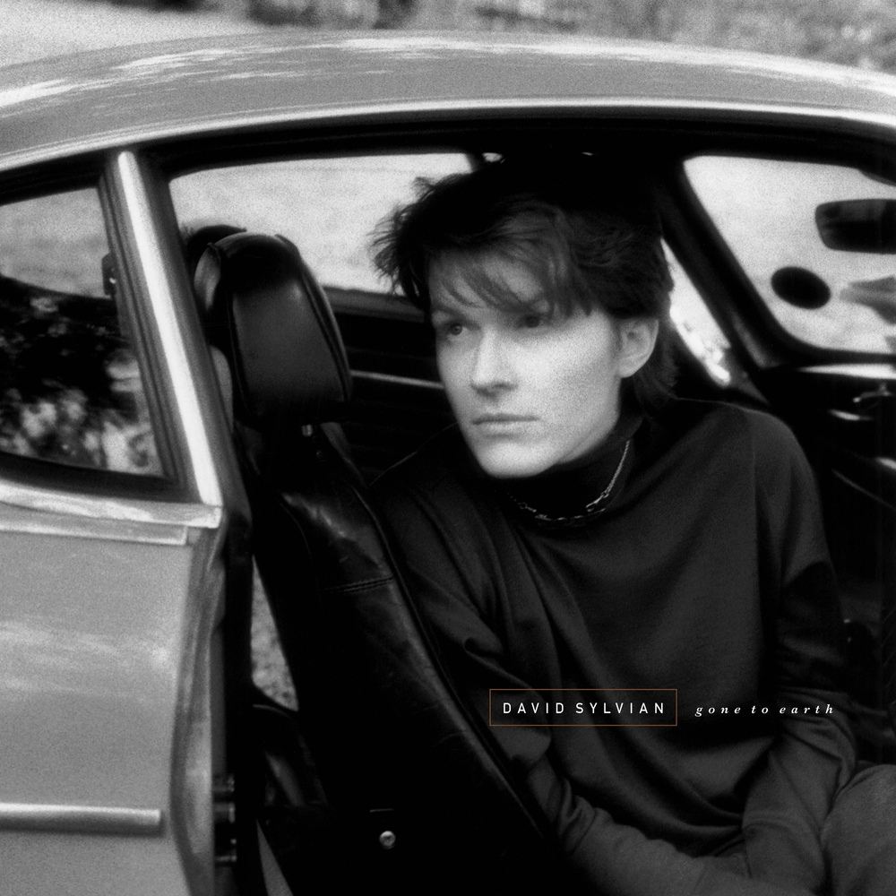 見本盤　David Sylvian 　 Gone To Earth Gone To Earth - Album by David Sylvian | Spotify
