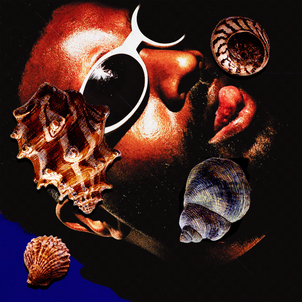 MOTON RECORDS / INCVarious – Y U Fall Y U Fall – Vinyl (12