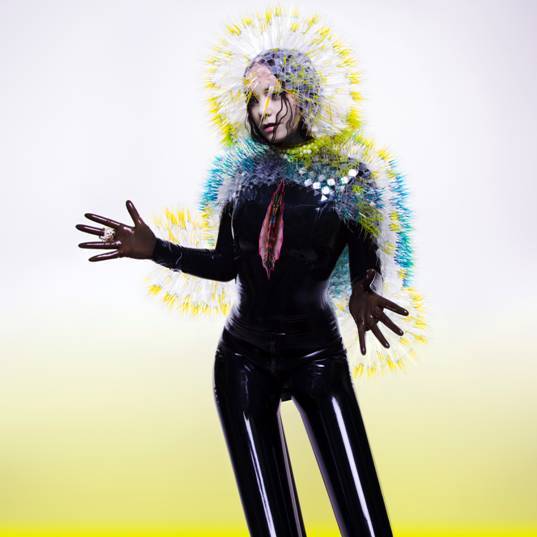 Björk - Vulnicura. Bleep.