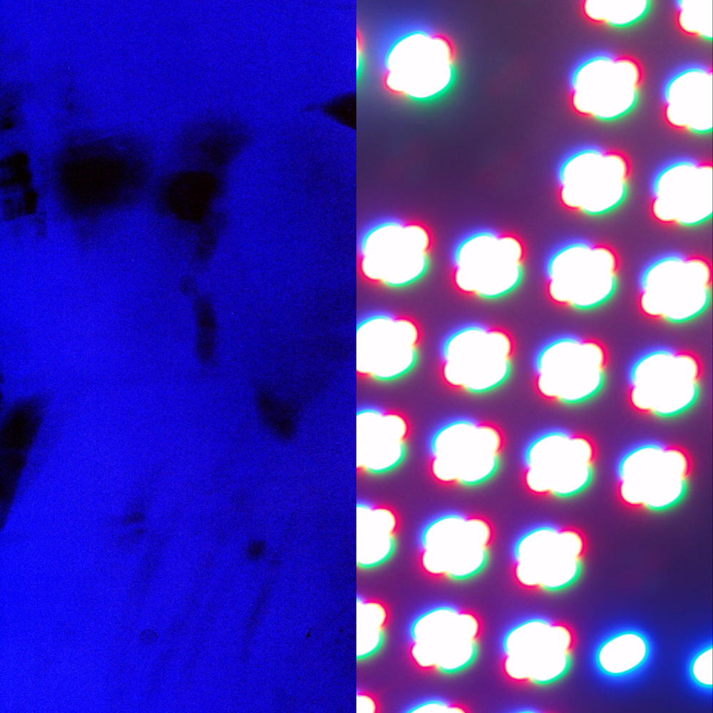 Digital - LUCKYME®