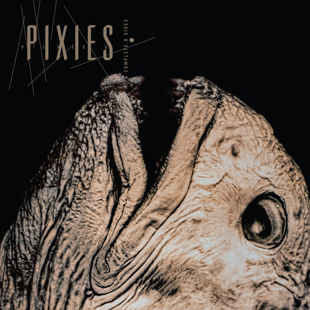 Pixies - Complete B Sides: 1988-97 (Remaster). Bleep.