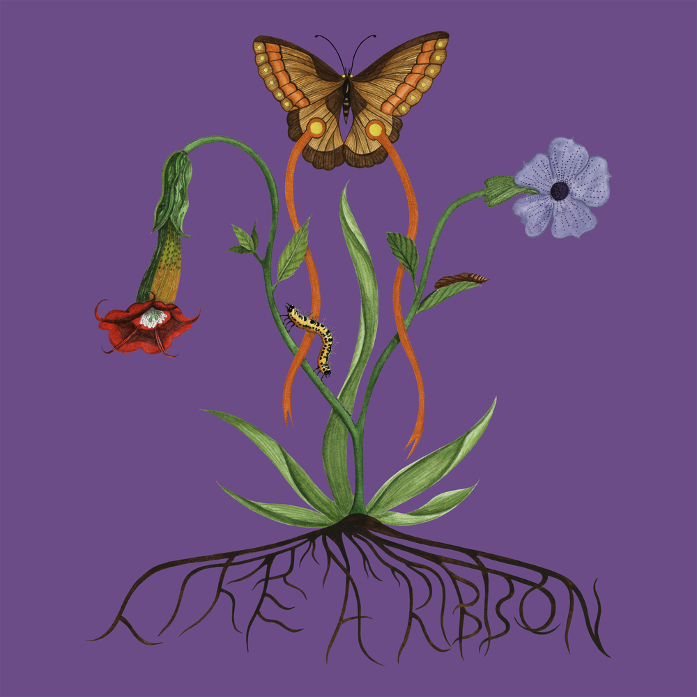 John Glacier - Like A Ribbon (Deluxe). Young.