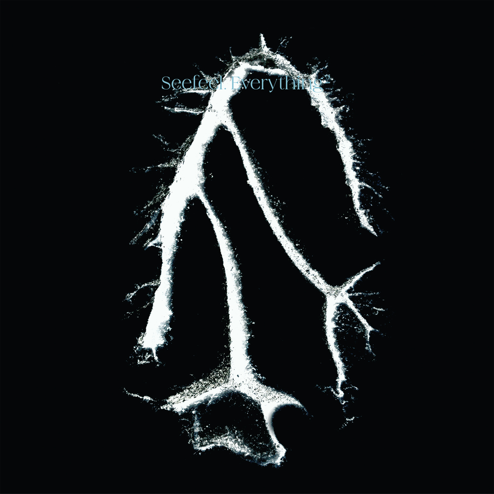 洋楽 Seefeel Rupt + Flex 1994-96 Anthology Rupt and Flex (1994 - 96) | Seefeel