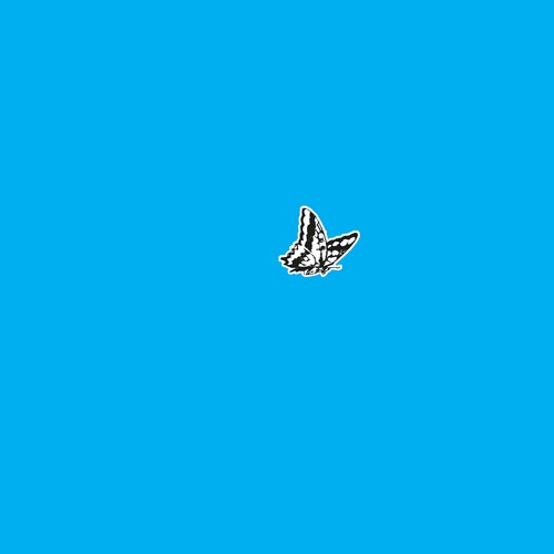 Nathan Micay - Blue Spring. LUCKYME®.