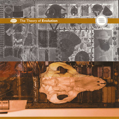 The Theory of Evolution by Various Artists - Releases - WARP
