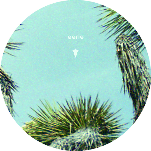 Marco Shuttle - Cobalt Desert Oasis. Vinyl, 2×LP. Bleep.