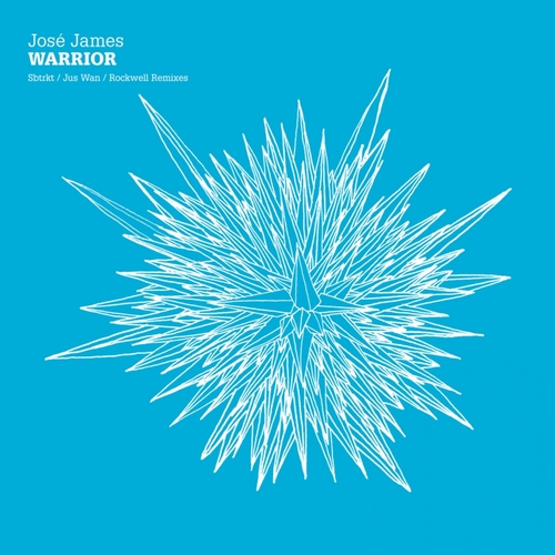 José James Warrior. Brownswood Recordings.