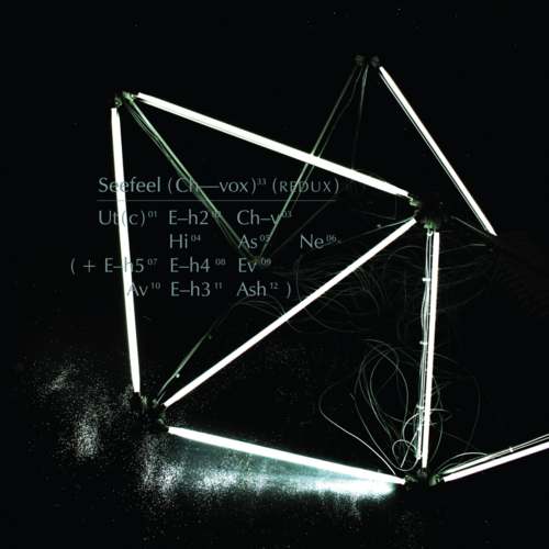 洋楽 Seefeel Rupt + Flex 1994-96 Anthology Seefeel - Rupt