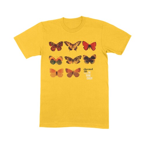 divine comedy t shirt