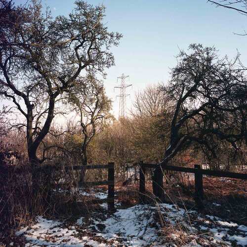 The Decriminalisation of Country Music