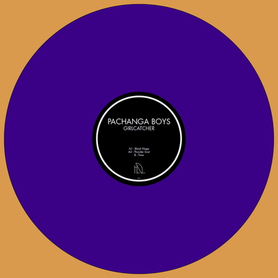 洋楽 Pachanga Boys - We Are Really Sorry Pachanga Boys - We Are Really Sorry (Hippie Dance Atelier