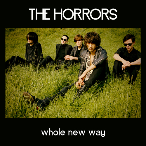 The Horrors - Skying. Vinyl, 2×LP - Black Vinyl. XL Recordings.