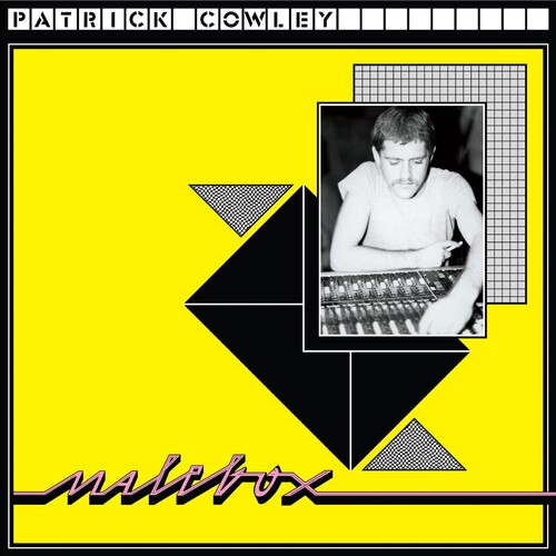 PATRICK COWLEY SCHOOL DAZE レコード 2LP
