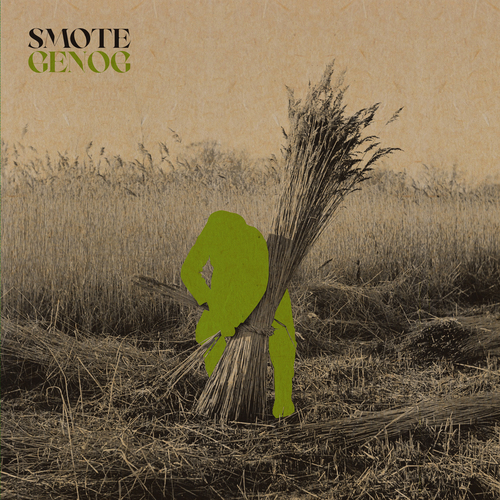 Flower Travellin' Band - Satori. Bleep.