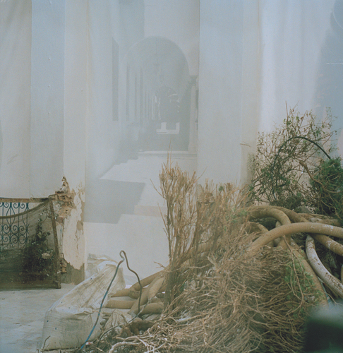 【未開封】【レコード】Still House Plants Fast Edit Fast Edit | Still House Plants