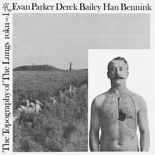 洋楽 SCHWARZWALDFAHRT/BROTZMANN & HAN BENNINK Brötzmann / Bennink – Schwarzwaldfahrt – Vinyl (Album, LP