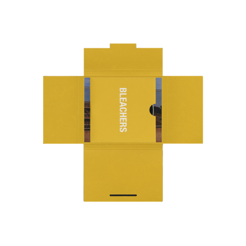 Bleachers Bleachers Postcard Pack 2 (with CD). Dirty Hit.