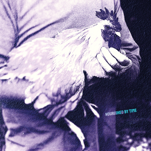 LP Nourished By Time Erotic Probiotic 2 XL1483LP XL Recordings 未開封 /00260 Erotic Probiotic 2 | Nourished By Time
