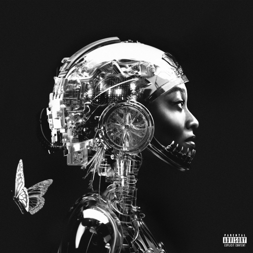Little Simz - NO THANK YOU. Bleep.