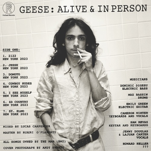 新品LP ギース　Geese 3D Country キャメロンウィンター Geese - 3D Country. Partisan Records Store.