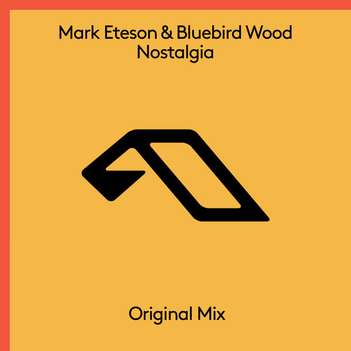 洋楽 Fallen Tides, 12\" Vinyl ANJUNABEATS Mark Pledger Vs Matt Hardwick Feat. Melinda Gareh – Fallen