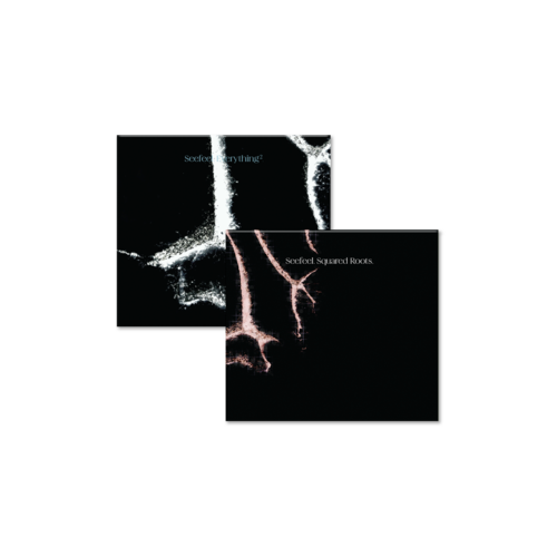Seefeel - Quique (Redux Edition). Bleep.