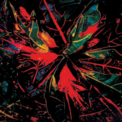KMFH (Kyle Hall) - The Boat Party. Bleep.