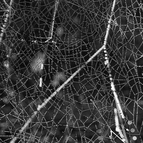 Ondo Fudd - Eyes Glide Through The Oxide. Bleep.