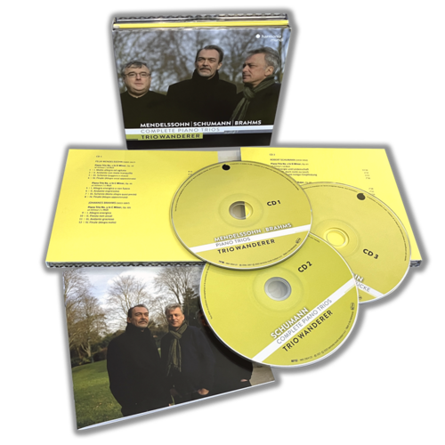 【中古】 Piano Trios Vol.2: Ensemble Trazom 中古】 Piano Trios Vol.2: Ensemble Trazom 71LAlVxicSL._UF350