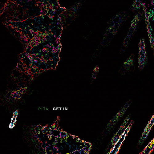 Pita - Get Out (2025 Edition). Bleep.