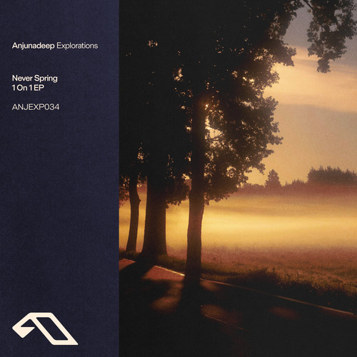 Anjunadeep EP001,Komytea,Proff,レコード Vinyl - Anjuna Music Store - The official music store of