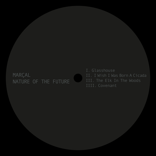Voices From The Lake - II. Bleep.