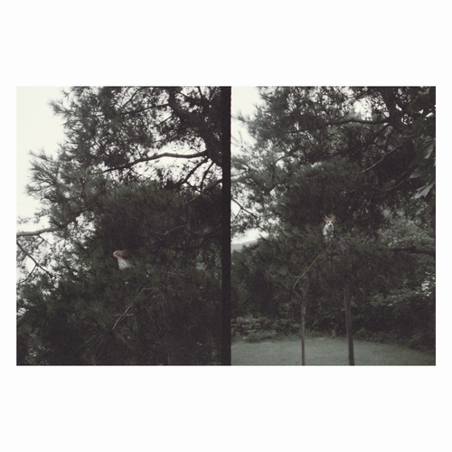 David Toop - Spirit World. Bleep.