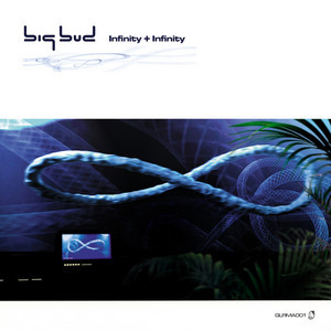 洋楽 Big Bud Infinity + Infinity PROMO CD Big Bud - Infinity + Infinity. Bleep.