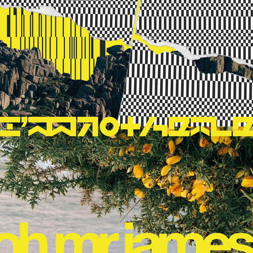 Aphex Twin - Digeridoo (Expanded Edition). Bleep.