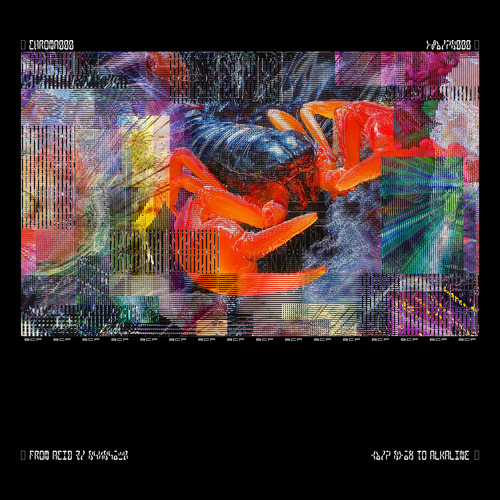 Seefeel - Quique (Redux Edition). . Bleep.