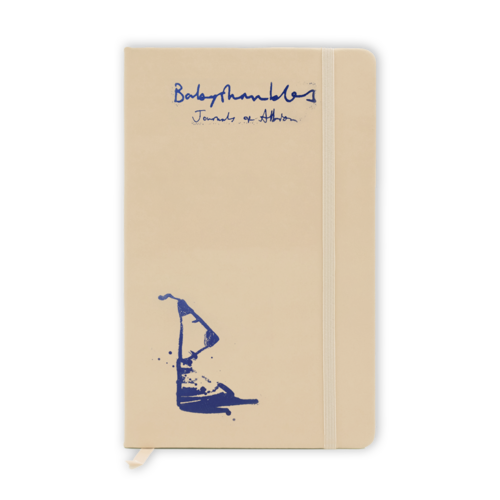 Babyshambles - Down In Albion (Deluxe 20th Anniversary Edition